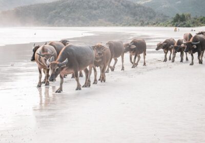 Paket Wisata Lombok 5 Hari 4 Malam